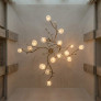 PS9116 DUAL LUCIA CHANDELIER