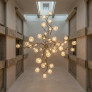 PS9116 DUAL LUCIA CHANDELIER