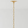 PS9131 AGAVE GOLD CHANDELIER