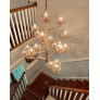 PS9131 AGAVE GOLD CHANDELIER
