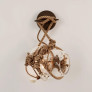 PS9144 Knotty Bubbles Sconce Small