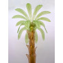 PS1845 AMBER GREEN PALM TREE