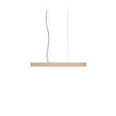 PS1554 2X4 PENDANT