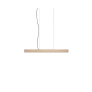 PS1554 2X4 PENDANT
