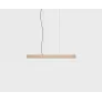 PS1554 2X4 PENDANT
