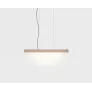 PS1554 2X4 PENDANT