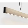PS1554 2X4 PENDANT
