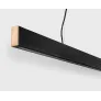 PS1554 2X4 PENDANT