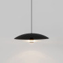 PS1706 CORAL DOME PENDANT LIGHT