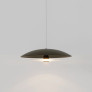 PS1706 CORAL DOME PENDANT LIGHT