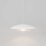 PS1706 CORAL DOME PENDANT LIGHT