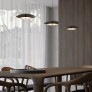 PS1706 CORAL DOME PENDANT LIGHT