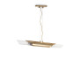PS2623 HARPIA SUSPENSION