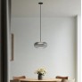 WM2703 TRINITY LED OVEL PENDANT