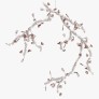 AM1330 BLOSSOM