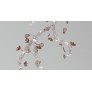 AM1330 BLOSSOM