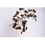 AM9914 BRANCH OF ROSES