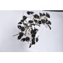 AM9914 BRANCH OF ROSES