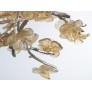 DV3953 ALMOND