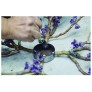 DV3953 ALMOND