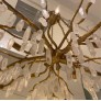 DV5089 Forest Light