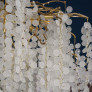 WM501 SHIRO NODA