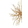 WM503 BRANCHES GOLD