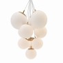 JR1978 Orchard Chandelier
