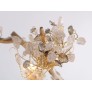 OR076 BRANDOLINI