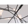 AM1705 HERACLEUM
