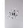 AM1705 HERACLEUM