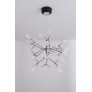 AM1705 HERACLEUM