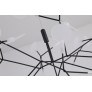 AM1705 HERACLEUM