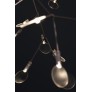 AM1705 HERACLEUM