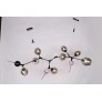 JT267 BRANCHING BURST