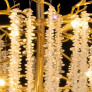 AM6654 LUSTER CHANDELIER
