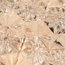 PS2098 ROMANTIC MODERN CHANDELIER