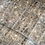 PS2131 CLASSIC CRYSTAL CHANDELIER