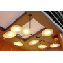 PS2370 BRANCHING DISCS 09.01 CHANDELIER REPLICA