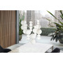 PS2514 PEARLS DOUBLE CHANDELIER