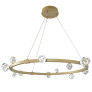 PS2529 STELLA LED RING CHANDELIER