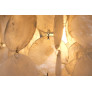 PS2891 MOTHER OF PEARL CHANDELIER
