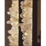 PS3111 Quartz Horizontal Pendant Lamp