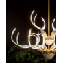 IQ8137 ANTLER'S HORN