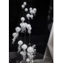 PS6097 MEDUSA CHANDELIER