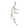 QZ315 AQUA BRANCH SCONCES