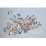 AM8850 EDEN CROWN