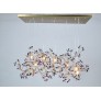 AM8850 EDEN CROWN