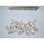 AM8850 EDEN CROWN