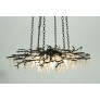 DV5089 Forest Light